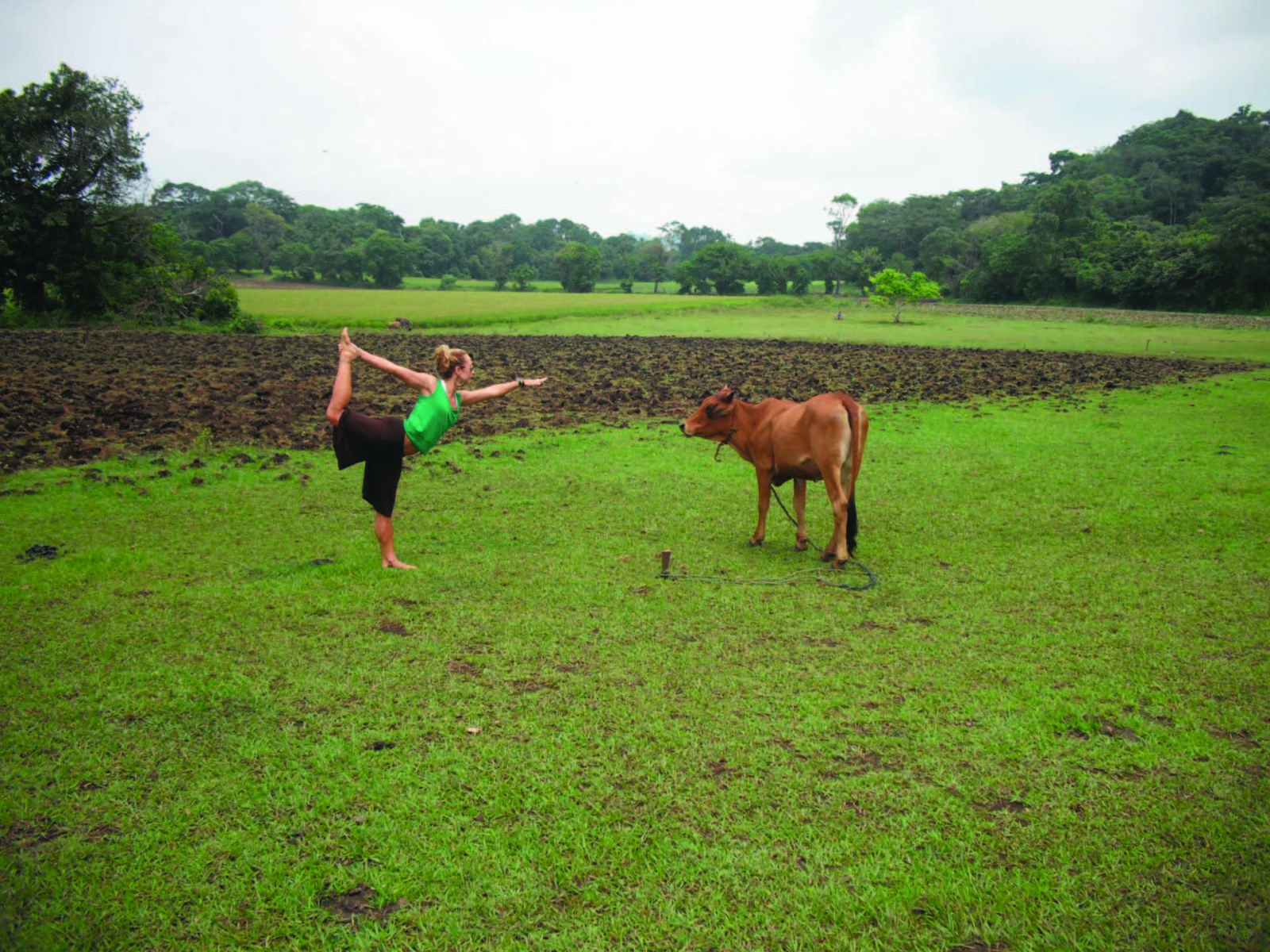 yoga for health