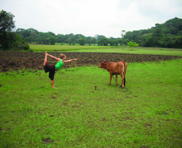 yoga for health