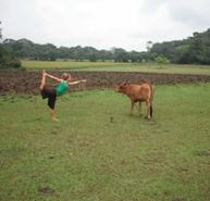 yoga for health